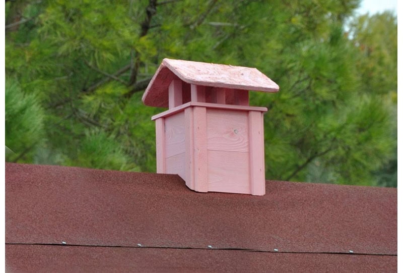 Petits Belges jouant dans une cabane en bois à l'extérieur