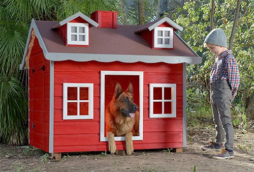 Un perro dentro de su caseta de madera y su cuidador fuera mirándolo feliz