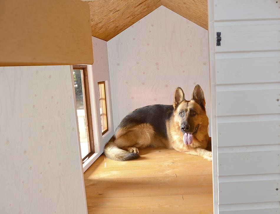 Interior de una caseta de madera para perros grandes. Con un perro tumbado en el suelo y protegido del frío